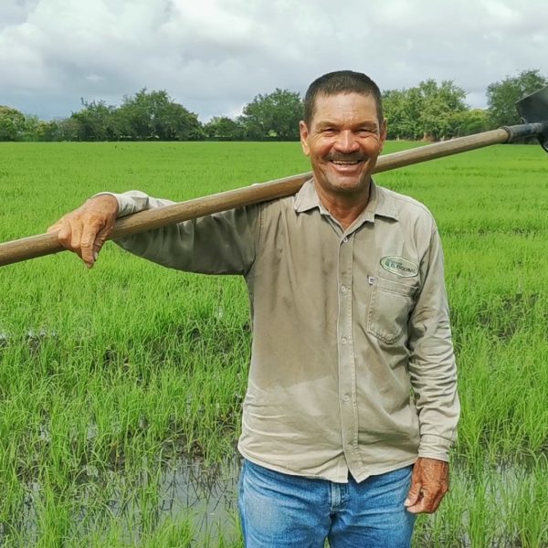 Servicios - -Agricultor